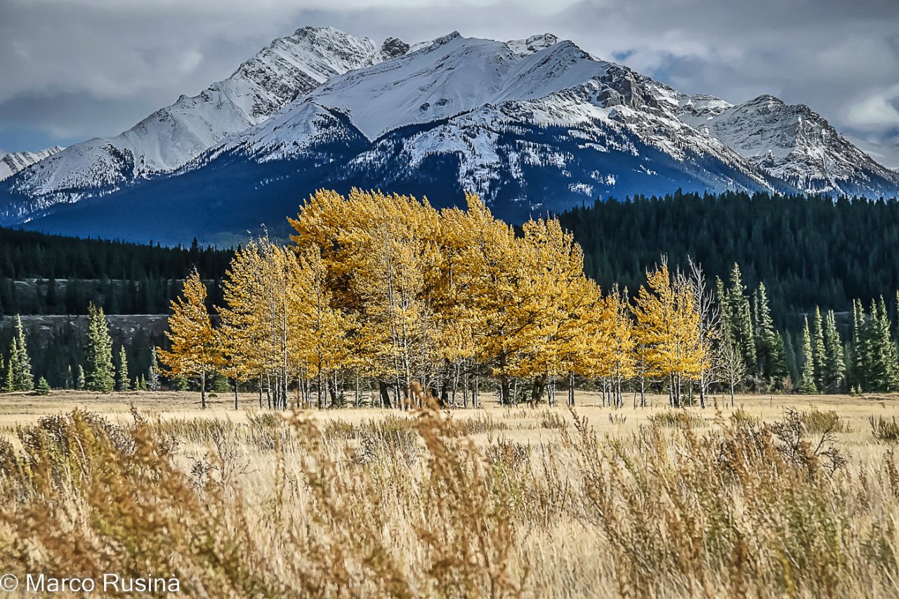 Rocky Mountains