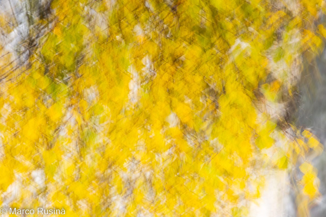 Abstract