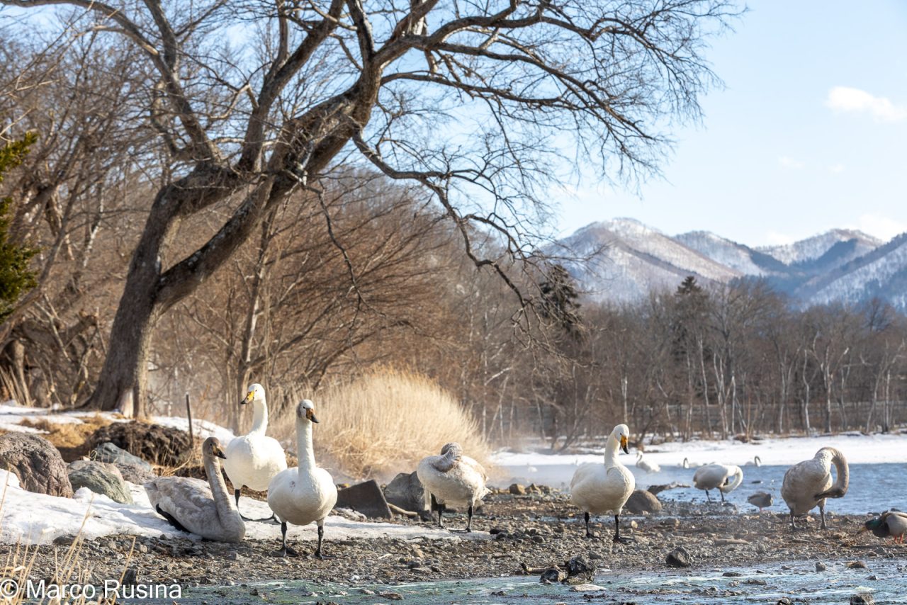 Hokkaido 2025