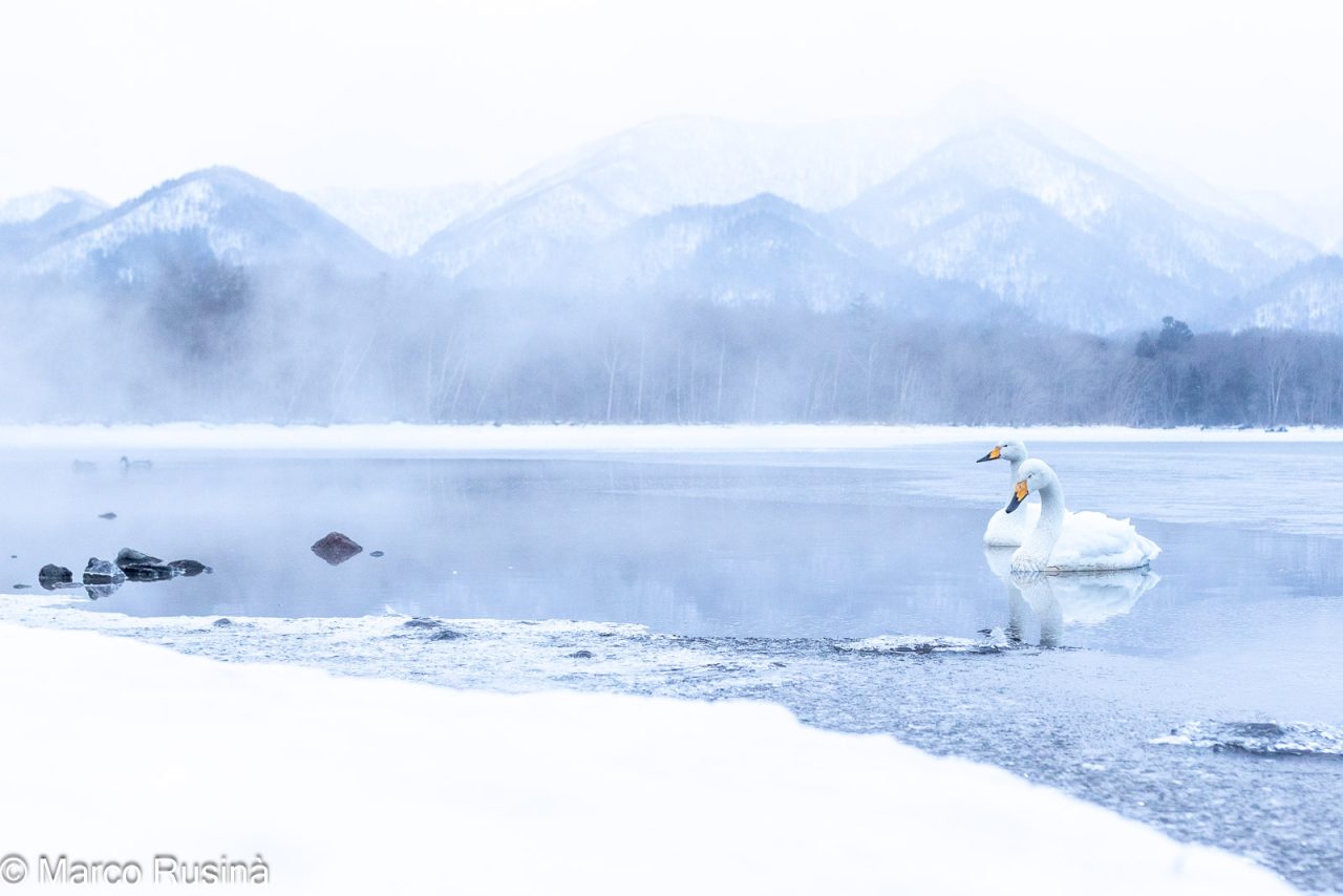Hokkaido 2025