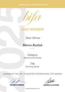 International Bifa Silver Winner