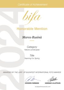 International Bifa Honorable Mention