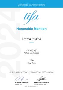 Tifa Honorable Mention